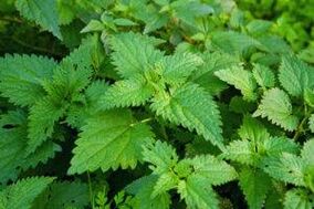 Herbs to increase potency